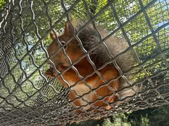 -桑干河大峡谷旅游区