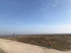 -南汇嘴观海公园