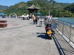-后柳水乡