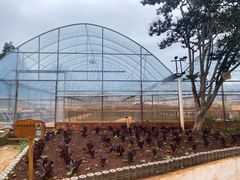 -昆明春城湖畔度假村