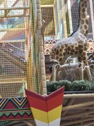 -卡通尼·Safari非洲探索乐园·生日会(金桥国际商业广场店)