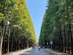 -渡海小渔村.老辈日照菜