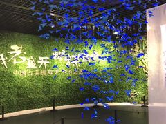 -中国湿地博物馆
