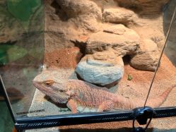 -酷嗒动物文化乐园(cutezoo西溪乐天城店)