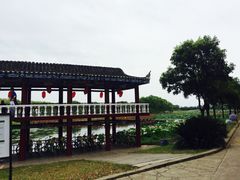 -洪湖生态旅游区