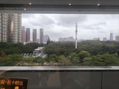 -百年果林椰子鸡(中洲店)