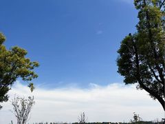 -苏州湾体育公园