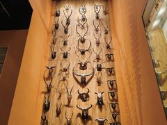 -Behring World of Animals(上海自然博物馆店)