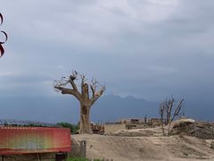 -镇北堡西部影城