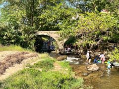 -素山寺森林公园