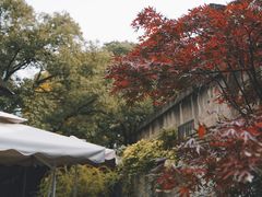 -Willing·Coffee&Brunch&Dinner(万达店)