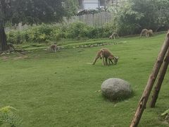 -泉州海丝野生动物世界