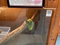 -上海大自然野生昆虫馆