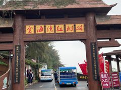 -北海金海湾红树林生态旅游区