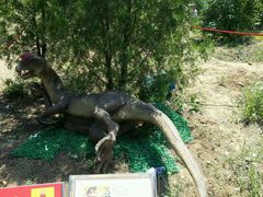 android_upload_pic-永定河休闲森林公园