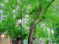 -济公故居