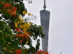 -二沙岛艺术公园