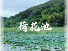 -南北湖风景区