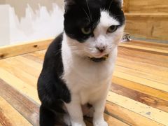 -猫的天空之城概念书店(杭州南宋御街店)