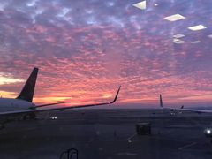 -约翰·菲茨杰拉德·肯尼迪国际机场