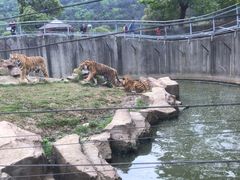 -无锡动物园·太湖欢乐园