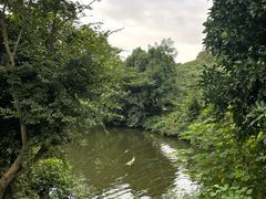 -龙坞茶村