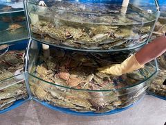 -蓝珊甄选海鲜自助·火锅大排档(近阿那亚店)