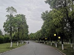 -洋湖国家湿地公园