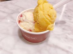 -哈根达斯(深圳海岸城店)