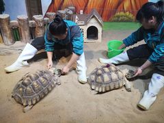 -华夏文旅海洋公园