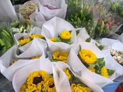 -循礼门鲜花花市(武汉循礼门店)