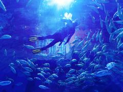 -华夏文旅海洋公园