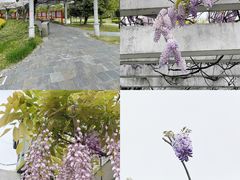 -奉浦四季生态园