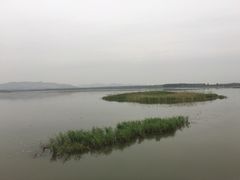 -微山湖红荷湿地景区