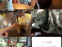 -咖法森林·咖啡  酒吧(天河店)