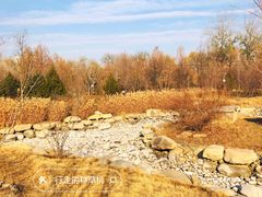 -莲花池公园