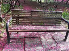 -奥林匹克森林公园南门-停车场