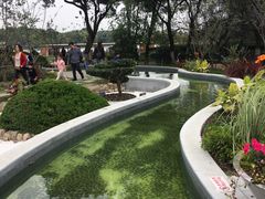 -昆山城市生态森林公园