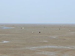 -小洋口旅游度假区