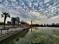 -白塘生态植物园