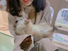 -藦茜花园宠物主题亲子互动体验馆(国顺东路店)