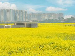 -中国天府农业博览园