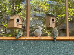 -佰园全日西餐厅-厦门佰翔软件园酒店