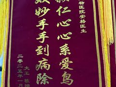 -爱侣宠医·鹦鹉专科·小型哺乳类·异宠专科(灵石路店)