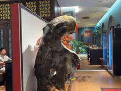 -福照楼汽锅鸡·云南菜(护国路店)