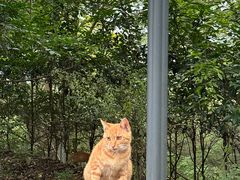 -敬亭山风景名胜区