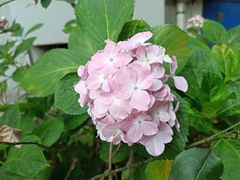 -共青国家森林公园-售票处