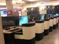 -网鱼电竞(杨浦中原店)