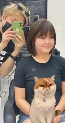 -蚂蚁造型俱乐部