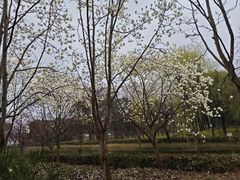 -嘉北郊野公园